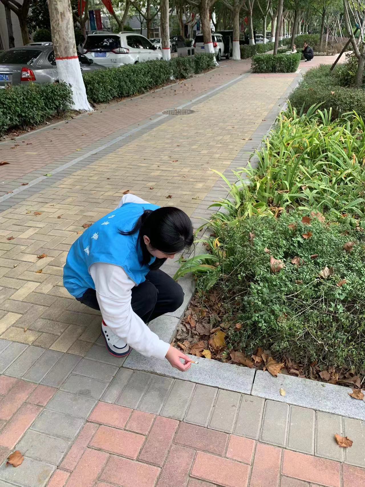 ylzz总站线路检测