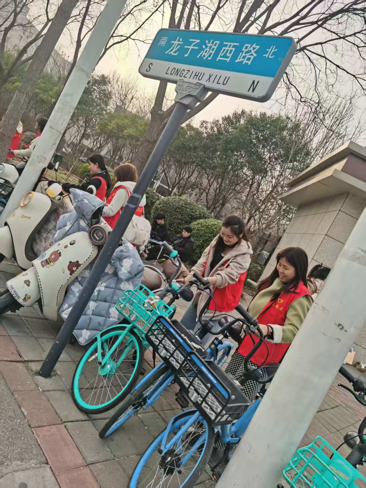 ylzz总站线路检测