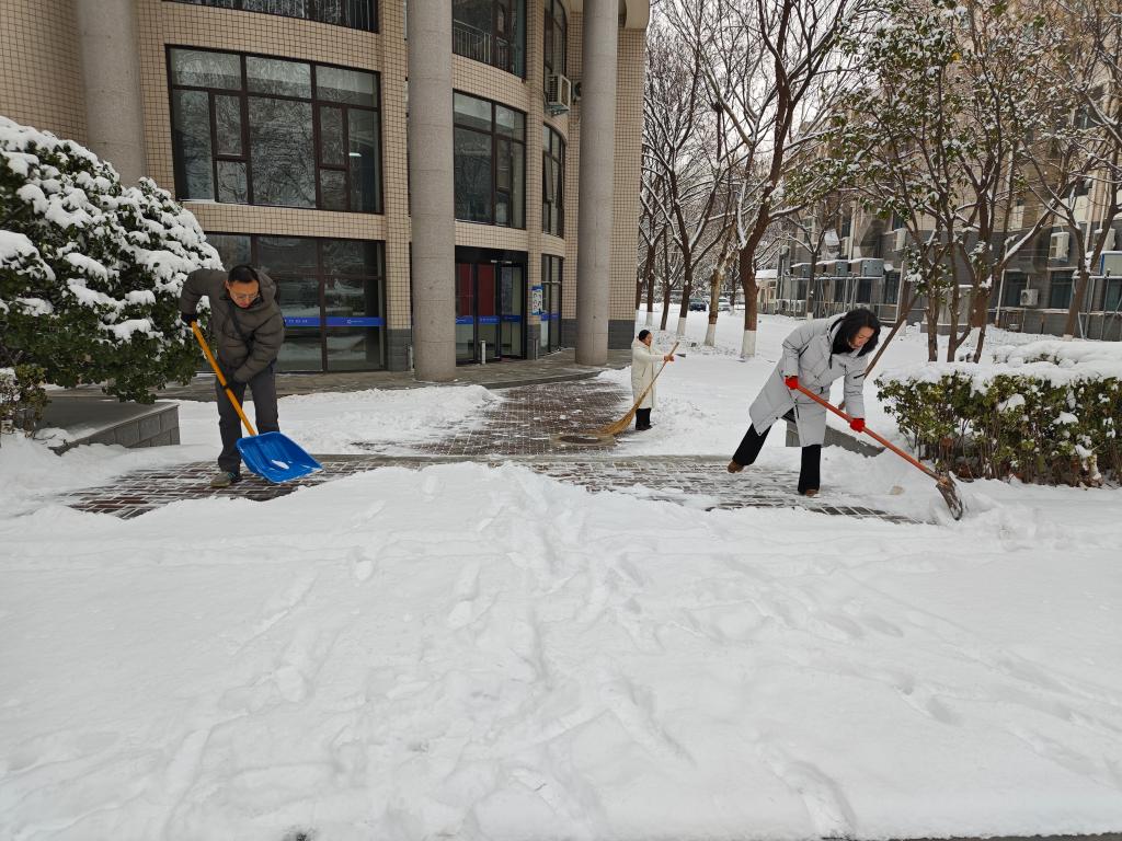 ylzz总站线路检测