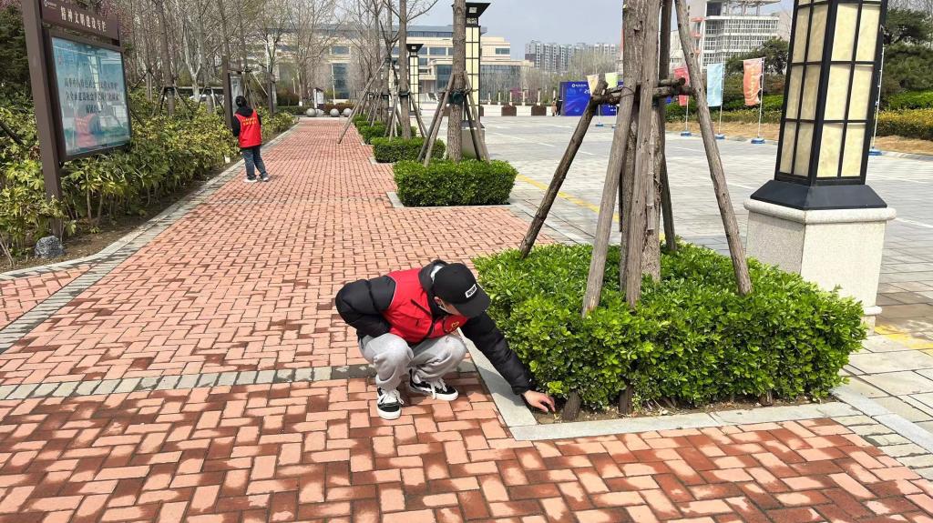 ylzz总站线路检测