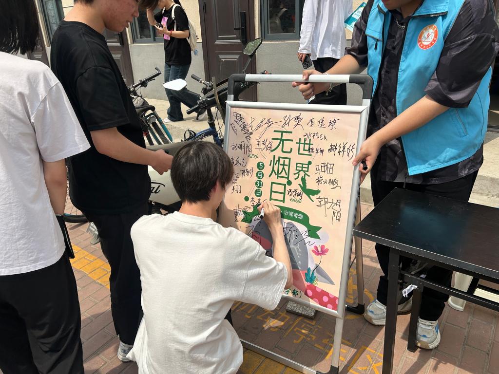 ylzz总站线路检测
