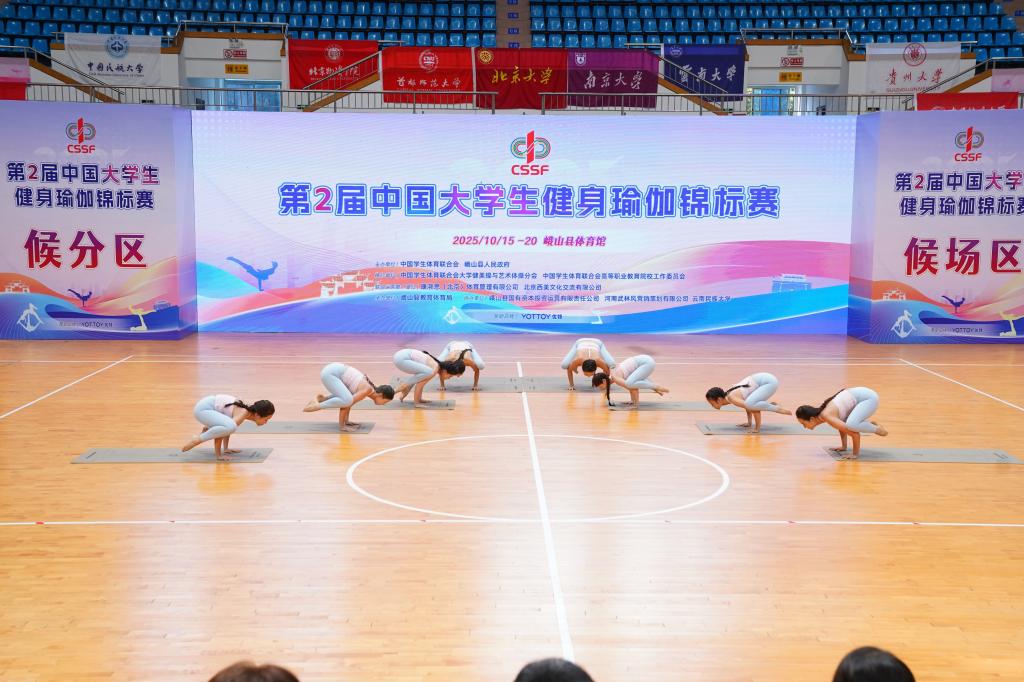 ylzz总站线路检测