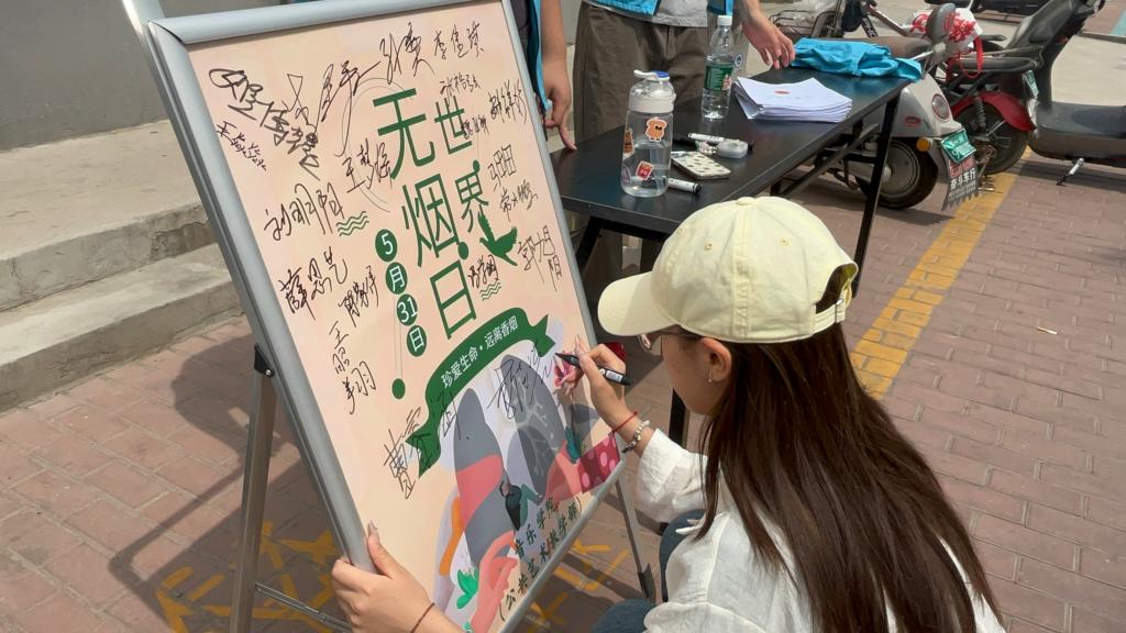 ylzz总站线路检测