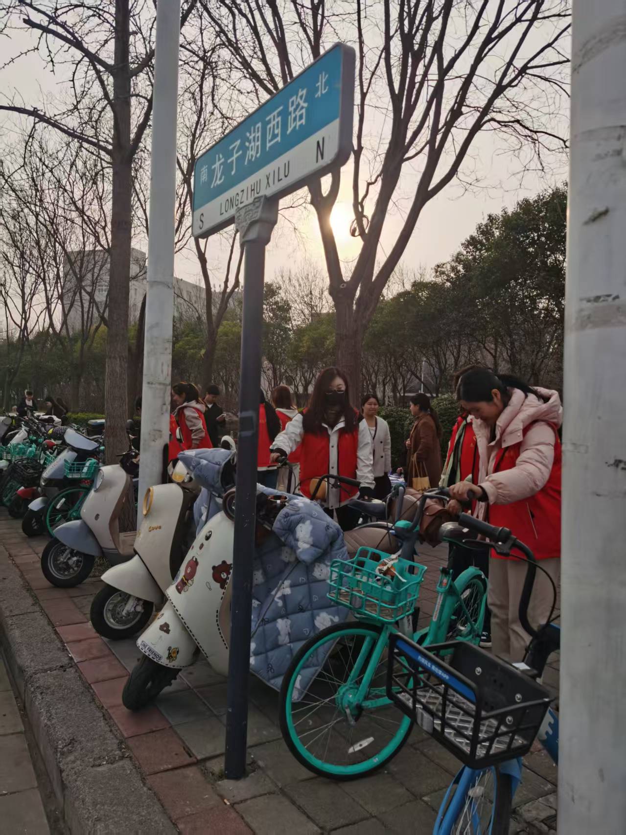 ylzz总站线路检测