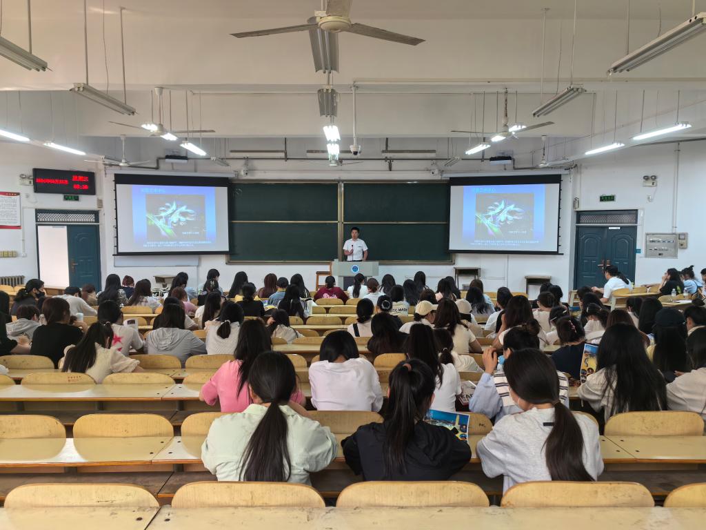ylzz总站线路检测
