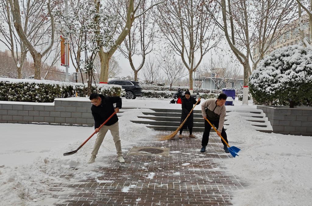 ylzz总站线路检测