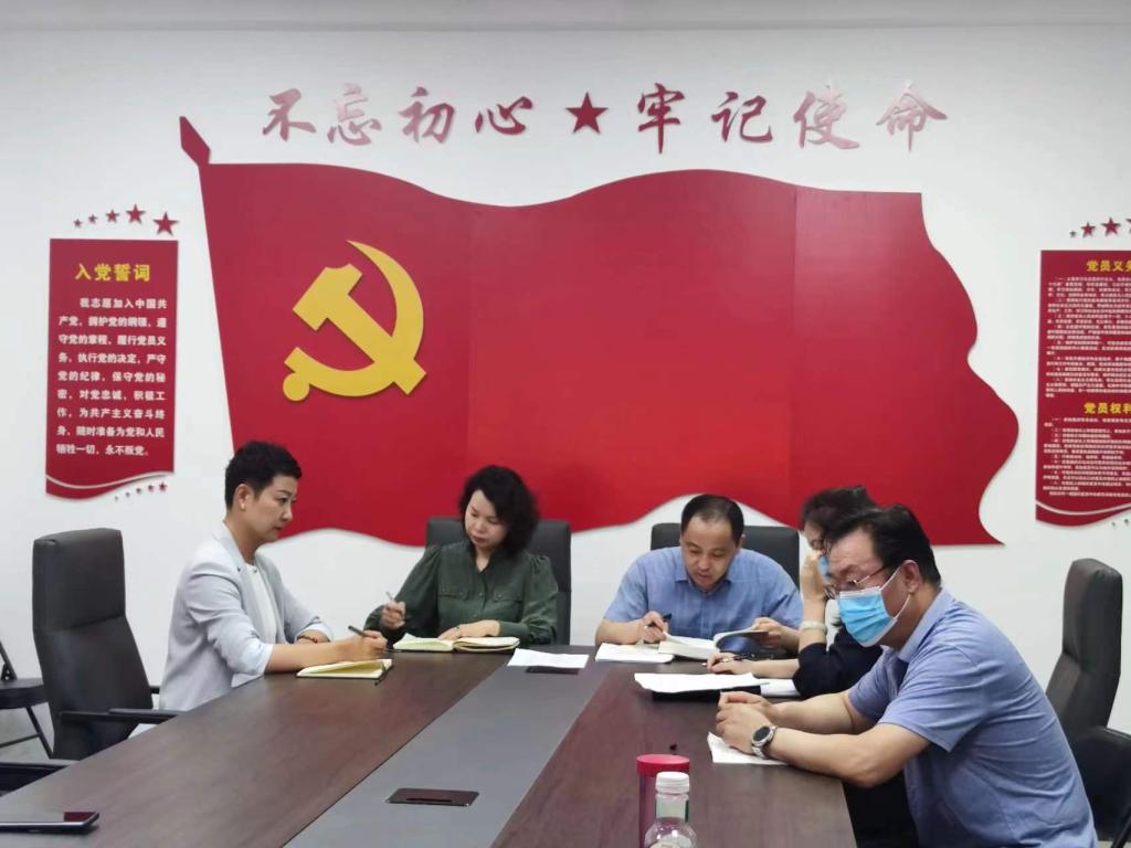 ylzz总站线路检测