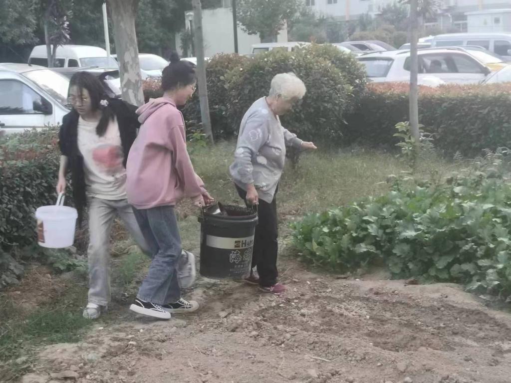 ylzz总站线路检测
