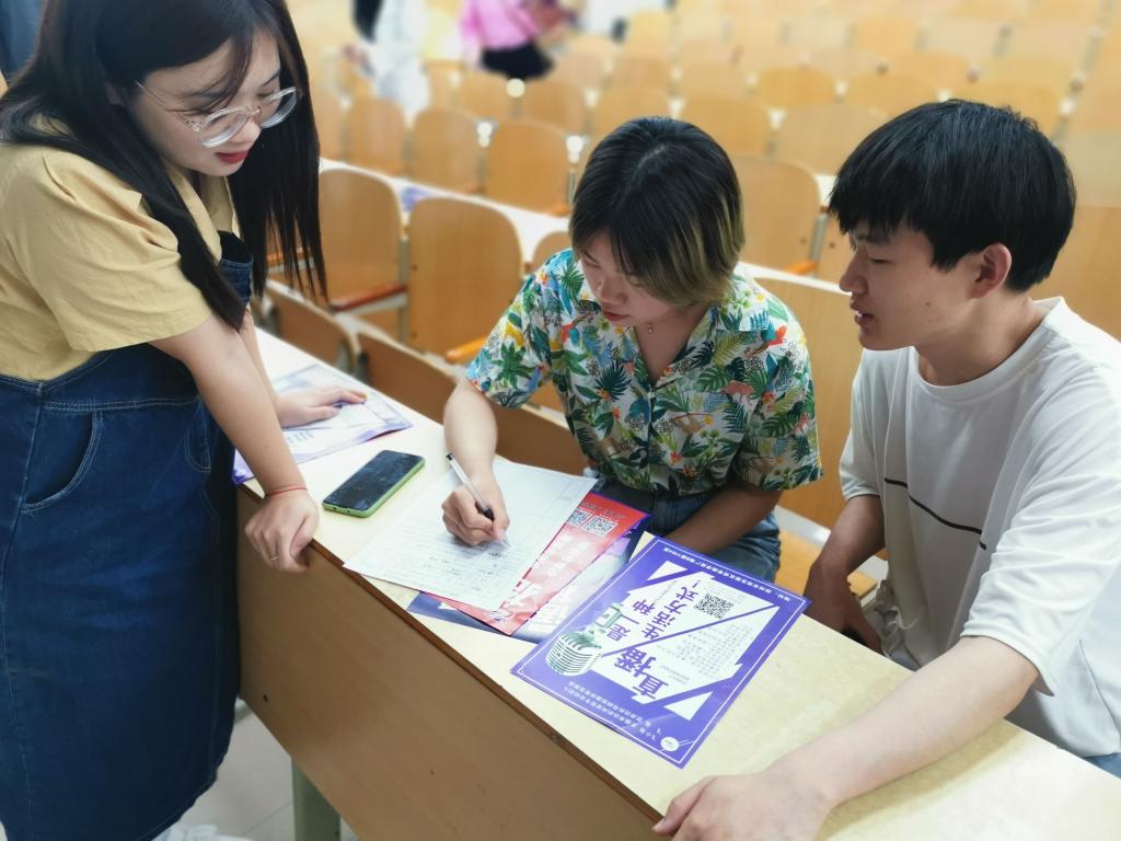 ylzz总站线路检测