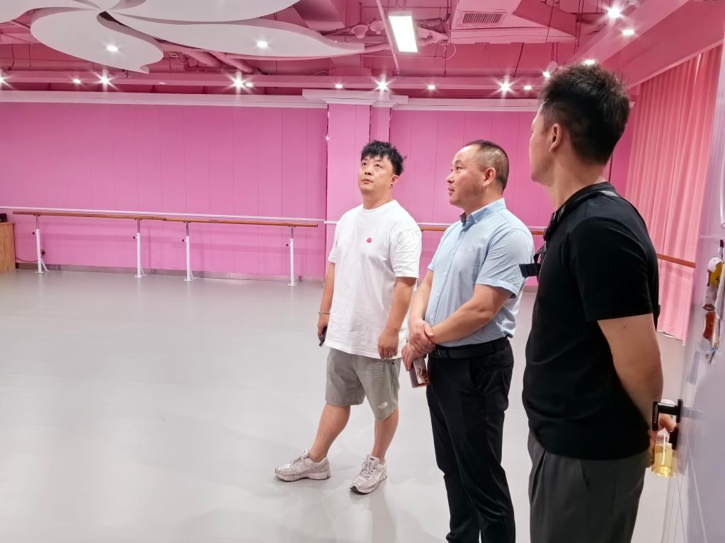 ylzz总站线路检测