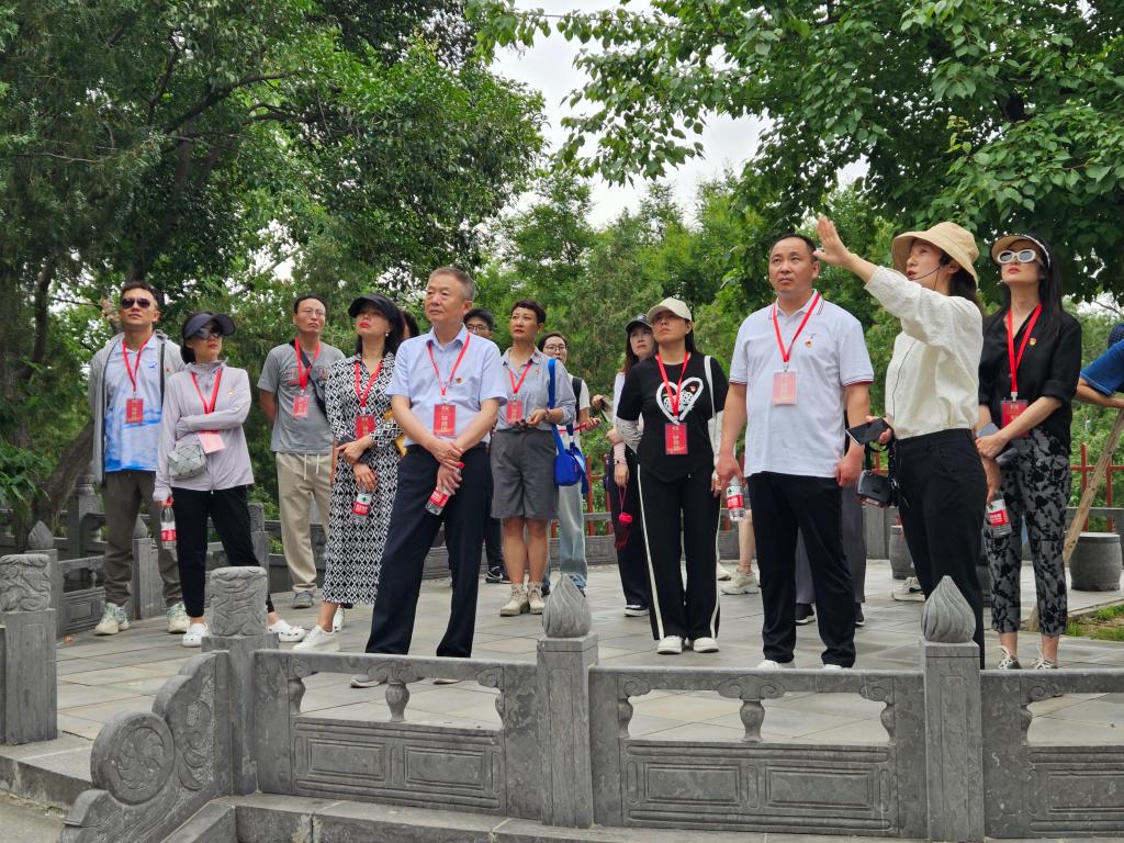 ylzz总站线路检测