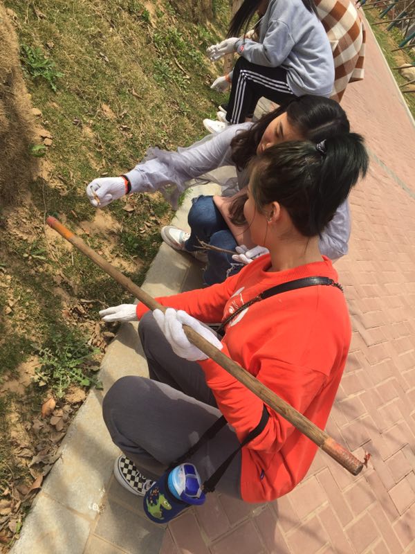 ylzz总站线路检测