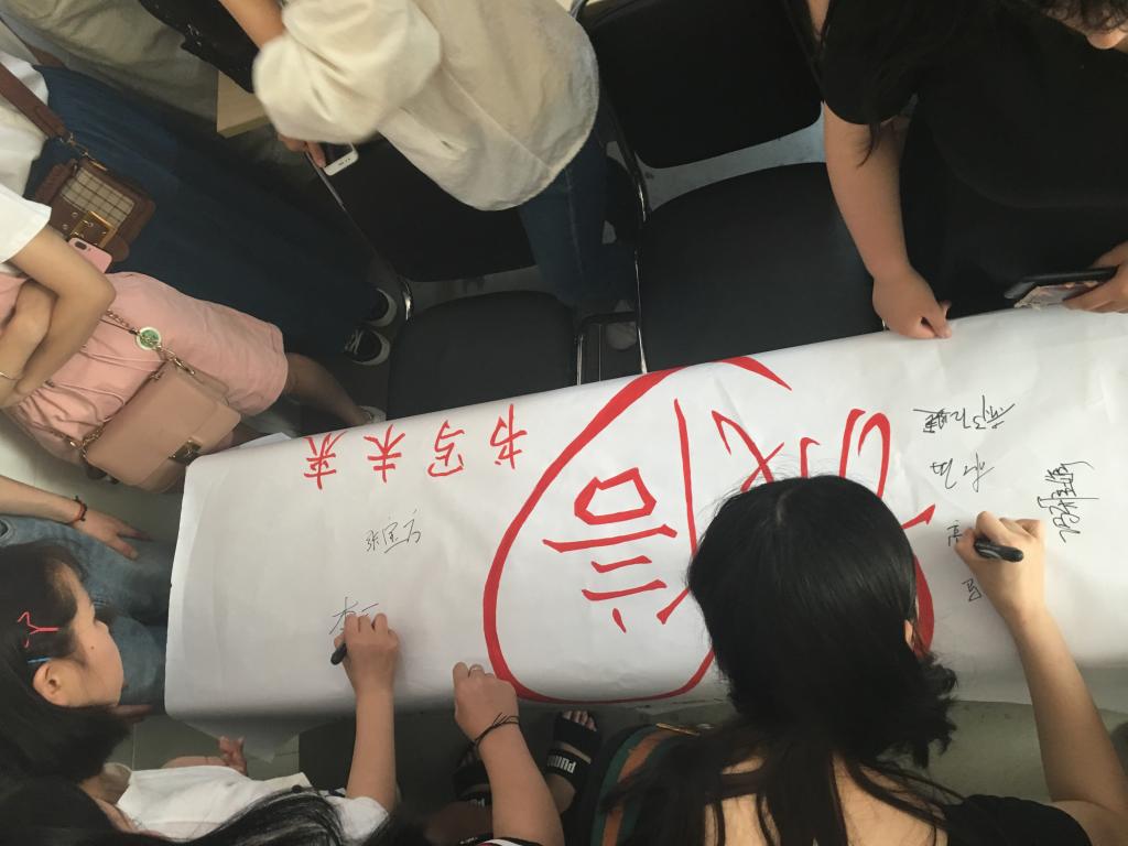 ylzz总站线路检测
