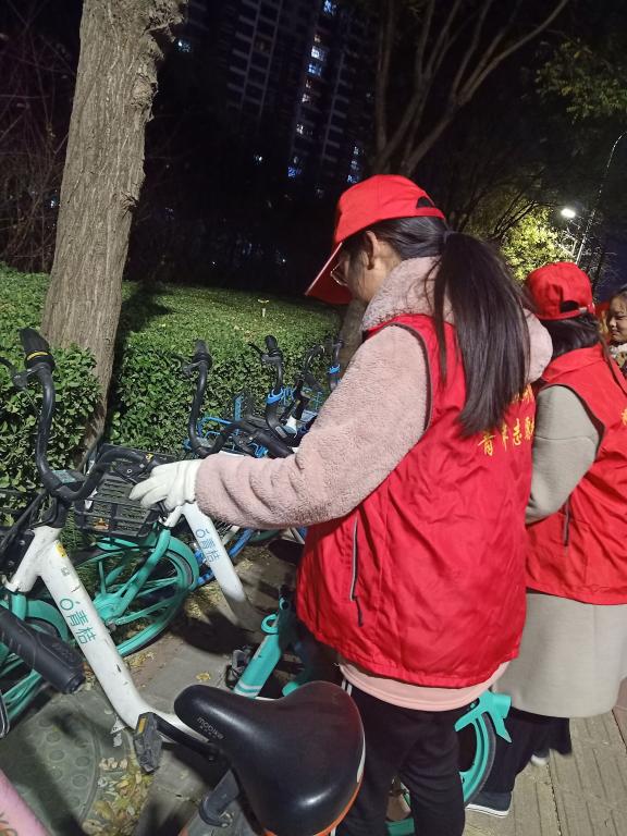 ylzz总站线路检测